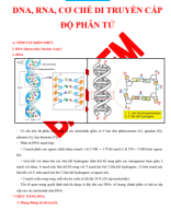 Chuyên đề 01. DNA, RNA, CƠ CHẾ DI TRUYỀN CẤP ĐỘ PHÂN TỬ-PP.pdf