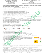 2024-2025 - HSG 12 Đề Minh Họa - Bà Rịa Vũng Tàu - File đề.docx