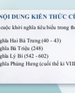 5. Lê Thị Huỳnh B2008626 - Bài 8. Một số cuộc khởi nghĩa và chiến tranh giải phóng trong lịch sử Việt Nam - Tiết 2.pptx