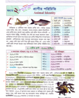 2. Animal Identity 11th 2024 Copy.pdf