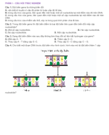 PHẦN I - CÂU HỎI TRẮC NGHIỆM ĐỘT BIẾN GENE - HS.docx