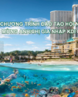 KDI HOLDINGS - TÀI LIỆU HỘI NHẬP 2024.pdf