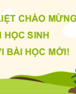 Bài 13. Phân bón hóa học.pptx