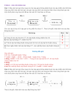 PHẦN II CÂU HỎI ĐÚNG SAI - TƯƠNG TÁC GENE - GV.docx