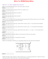 PHẦN III CÂU TRẢ LỜI NGẮN DNA VÀ TÍNH TOÁN DNA - HS.docx