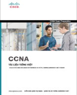 CCNA - Tieng Viet.pdf