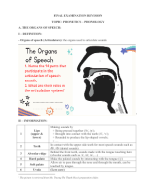 PHONETICS & PHONOLOGY - REVISION