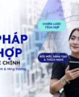 [PMAX Ebook] Giải Pháp Tích Hợp Cho Ngành Tài Chính.pdf