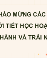 HĐTH TN Vẽ vectơ tổng của ba vectơ trong không gian bằng phần mềm GeoGebra.pptx