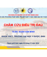 Tổng hợp báo cáo Hội nghị KH 2024 Hội châm cứu.pdf