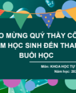 Bài 37 HỆ THẦN KINH VÀ CÁC GIÁC QUAN Ở NGƯỜI - KHTN 8 KNTT.pdf