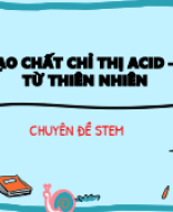 STEM KHTN 8 (PPT) - CHẾ TẠO CHẤT CHỈ THỊ MÀU TỪ THIÊN NHIÊN.pdf