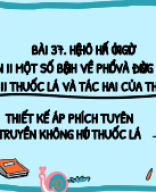 3802.STEM TUYÊN TRUYỀN KHÔNG HÚT THUỐC LÁ.pdf