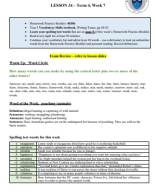 Y4 English 4030b -  2024 Week 34 Notes.pdf