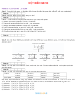 PHẦN III - CÂU HỎI TRẢ LỜI NGẮN ĐỘT BIẾN GENE - HS.docx