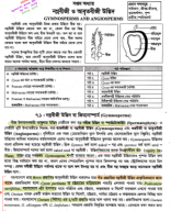 7. Gymnosperms And Angiosperms Hasan Sir 12th 2024 Copy.pdf