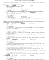 3. UNIT 1 - 45 MINUTE TEST - KEY CHI TIẾT.docx