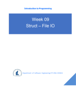 W09-Struct-File IO.pdf