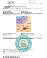 4. ĐỀ VIP 3 - PHÁT TRIỂN ĐỀ MINH HỌA MÔN SINH 2025 - H2.Image.Marked.pdf