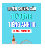 LUYEN CHUYEN SAU TU VUNG TIENG ANH 10 GLOBAL SUCCESS.docx