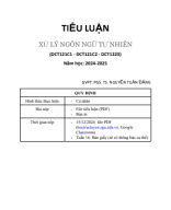 [SGU][Tiểu luận] Xử lý ngôn ngữ tự nhiên [2024-2025]