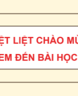 Bài 4. Tổ chức, lưu trữ và tìm tệp, thư mục trong máy tính.pdf