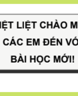 Bài 13. Sự sinh sản của thực vật có hoa.pdf