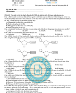 4. ĐỀ VIP 4 - PHÁT TRIỂN ĐỀ MINH HỌA MÔN SINH 2025 - YC1.Image.Marked.pdf