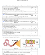 CÂU HỎI ĐÚNG SAI HÔ HẤP ĐỘNG VẬT.docx