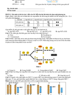 6. ĐỀ VIP 6 - PHÁT TRIỂN ĐỀ MINH HỌA MÔN SINH 2025 - T2.pdf