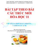 (Cấu trúc mới) HÓA 11 CHƯƠNG VI: HỢP CHẤT CARBONYL –  CARBOXYLIC ACID.pdf