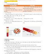 CHỦ ĐỀ 4. MÁU VÀ HỆ TUẦN HOÀN Ở CƠ THỂ NGƯỜI.docx