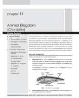 Med-RM_Zoo_SP-2_Ch-11-Animal Kingdom (Chordates).pdf