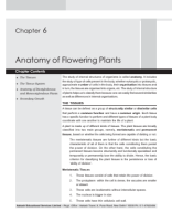 Med-RM_Bot_SP-1_Ch-6_Anatomy of Flowering Plants.pdf