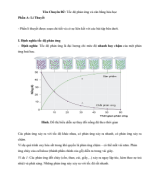 Chuyên Đề 11 - Tốc độ phản ứng và cân bằng hóa học.pdf