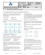 final SE 231-vn.pdf