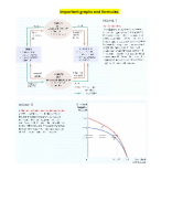 Important graphs and formulas - PE (1).docx