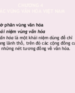 chuong V. Cac vung van hoa Viet Nam.ppt