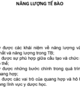 Năng lượng của TB c Thu Hương.pdf