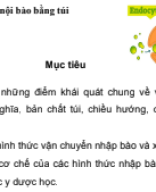 Vận chuyển bằng túi và truyền tín hiệu  Tb cô Thu Hương.pdf