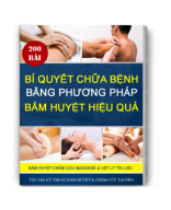 Bí quyết chữa bệnh bằng phương pháp bấm huyệt hiệu quả.pdf