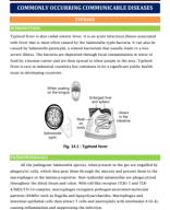 18. COMMONLY OCCURRING COMMUNICABLE DISEASES - Typhoid.pdf