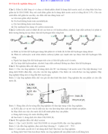 24.Bai19 carboxylic acid - CTST.PhamTrongNhan.docx