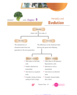 10 Sci Heredity and Evolution Notes.pdf