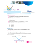 10 Sci Light Notes.pdf