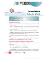 10 Sci The Human Eye and The Colourful World Notes.pdf