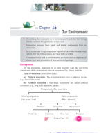 10 Sci Our Environment Notes.pdf