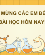 Bài 15 - Cảm ứng ở thực vật.pptx