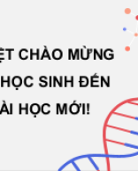 b40_dich_ma_va_moi_quan_he_tu_gene_den_tinh_trang.pptx