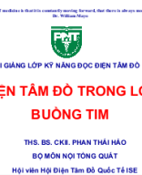 3-ECG LỚN BUỒNG TIM.pptx